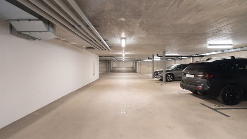 4.5 Locali con Giardino Privato | Residenza Sorgente, Comano (33)
