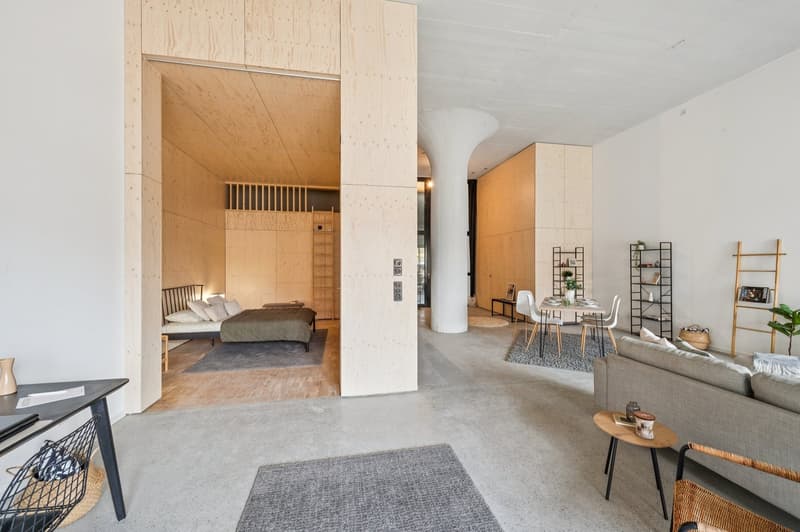 Meraviglioso loft nuovo (8)