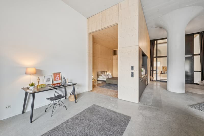 Meraviglioso loft nuovo (7)