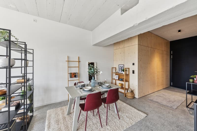 Appartement mit 1 Atelierzimmer inklusive! (7)