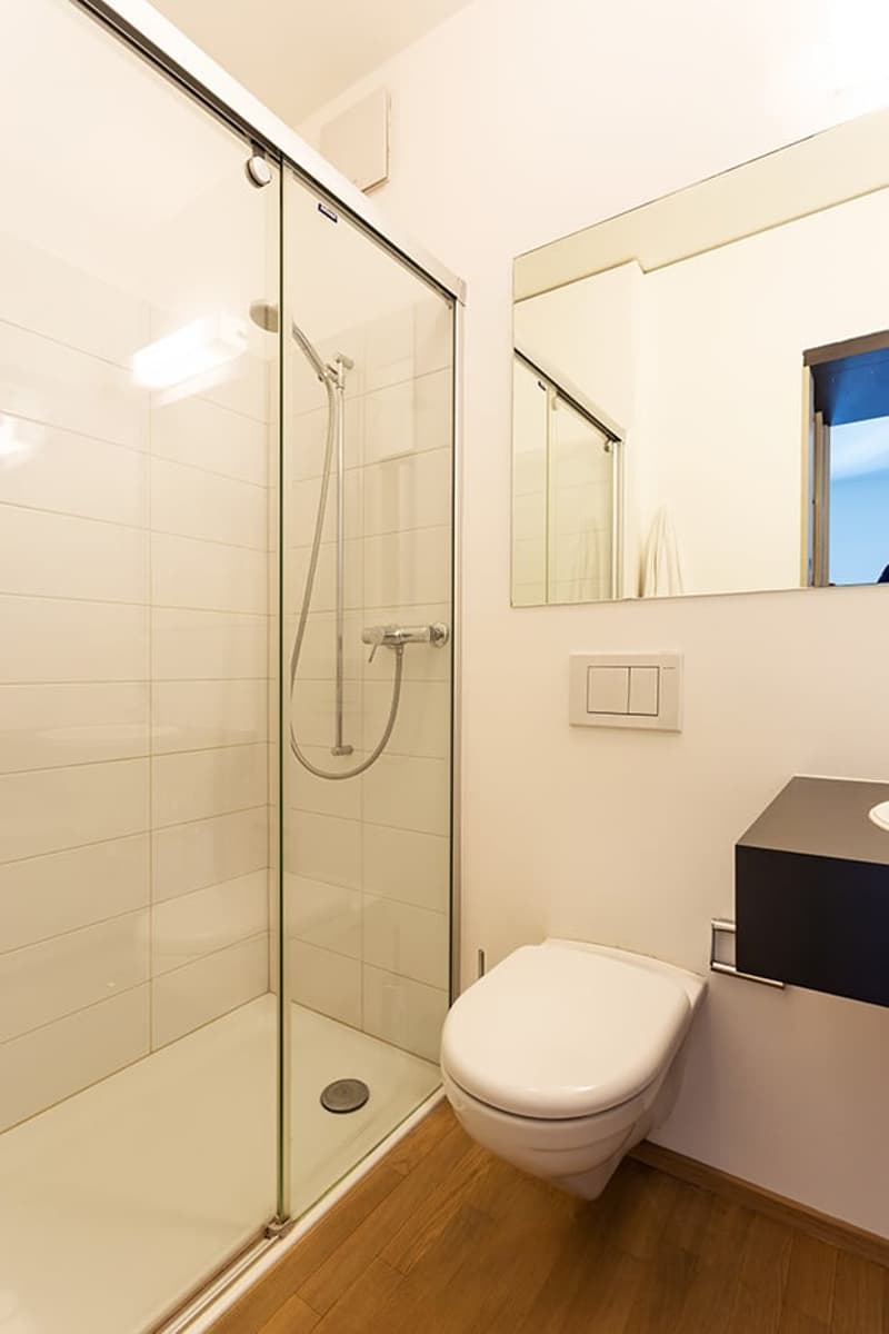 Geräumiges möbliertes Einzimmerapartment in Molino Nuovo (6)