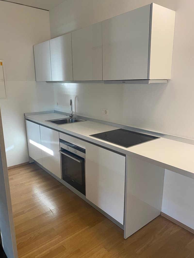 Elegantes Einzimmerapartment in Lugano (5)