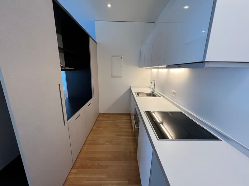 Elegantes Einzimmerapartment in Lugano (4)