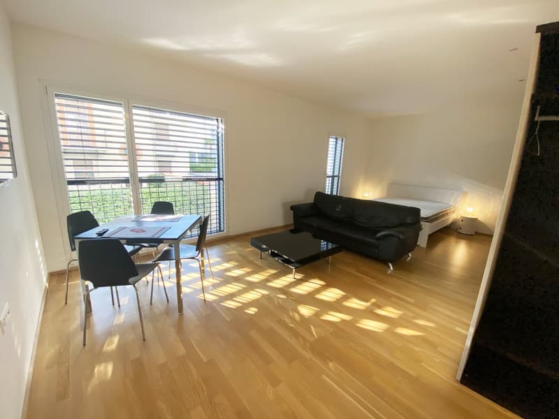 Elegantes Einzimmerapartment in Lugano (1)