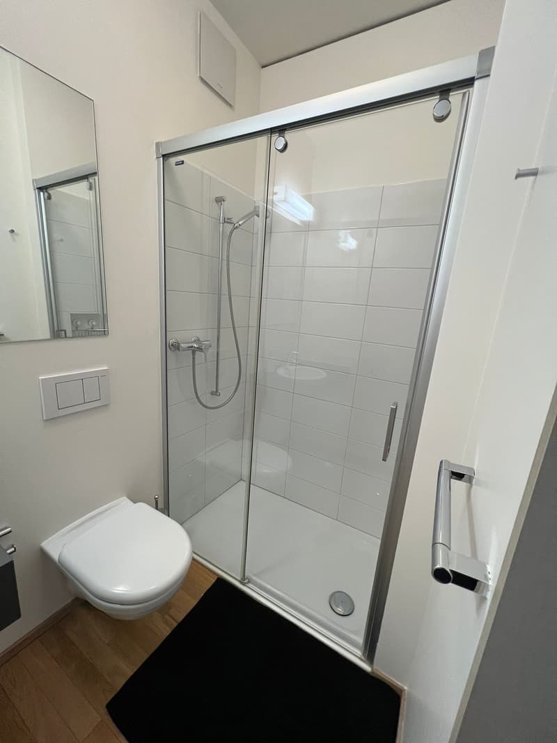 Elegantes Einzimmerapartment in Lugano (6)