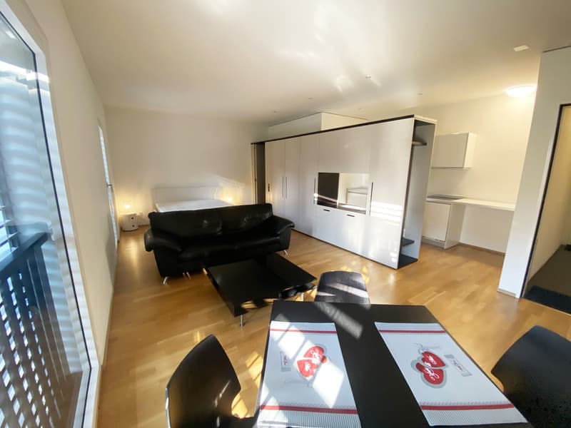 Elegantes Einzimmerapartment in Lugano (2)