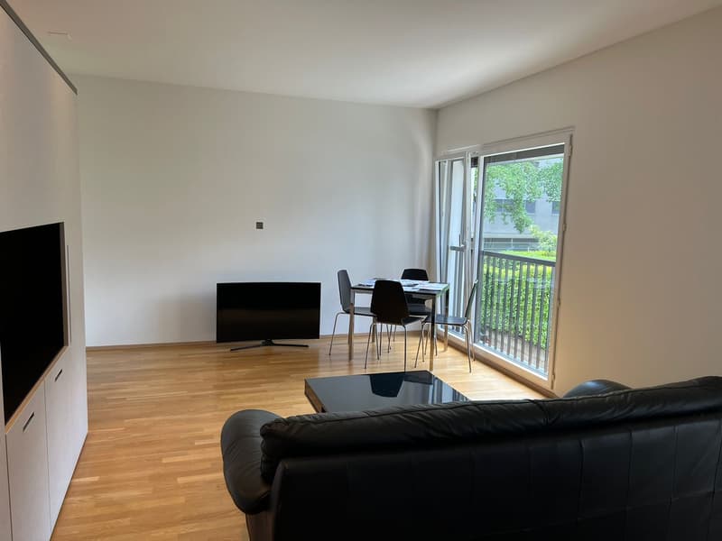 Elegantes Einzimmerapartment in Lugano (3)