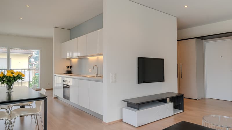 Ampio Loft arredato a Lugano, Molino Nuovo (2)