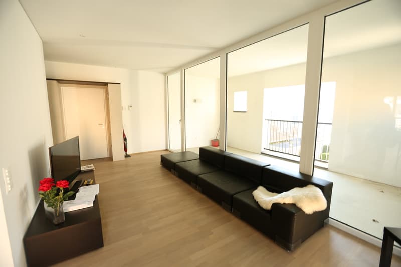 Geräumiges Loft in Lugano, Molino Nuovo (2)