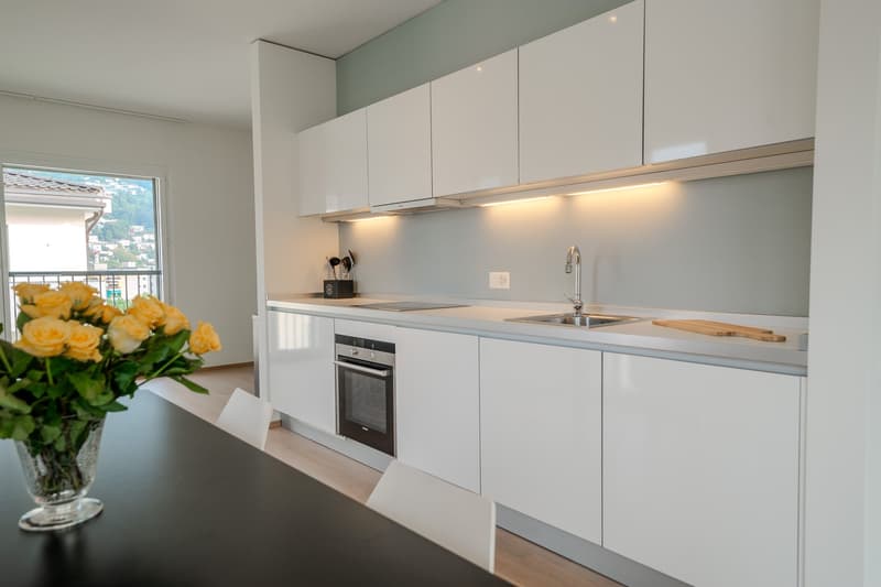 Ampio Loft arredato a Lugano, Molino Nuovo (5)