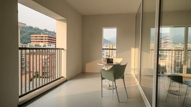 Ampio Loft arredato a Lugano, Molino Nuovo (14)