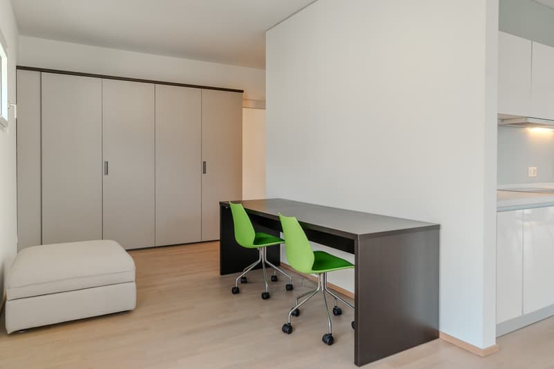 Ampio Loft arredato a Lugano, Molino Nuovo (7)
