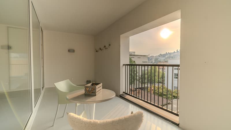 Ampio Loft arredato a Lugano, Molino Nuovo (1)