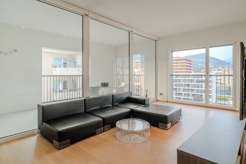 Ampio Loft arredato a Lugano, Molino Nuovo (3)