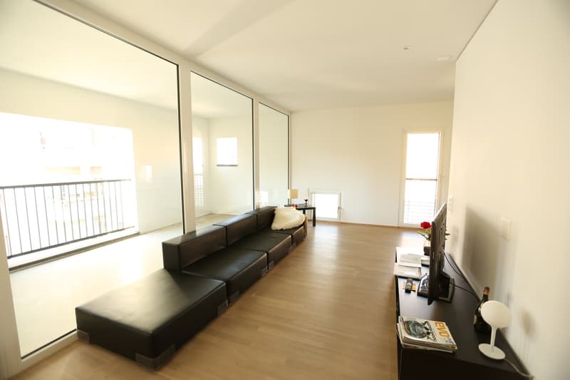 Geräumiges Loft in Lugano, Molino Nuovo (3)