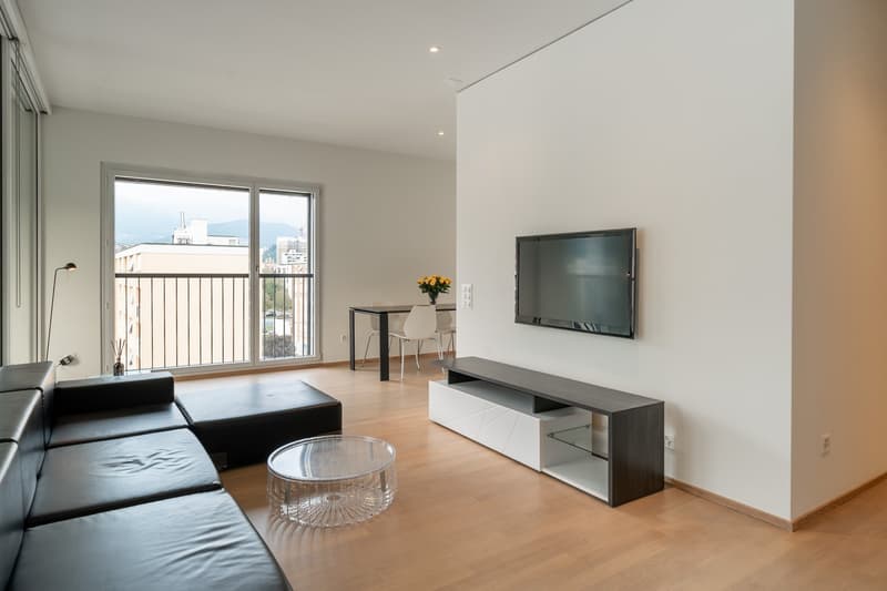 Ampio Loft arredato a Lugano, Molino Nuovo (4)