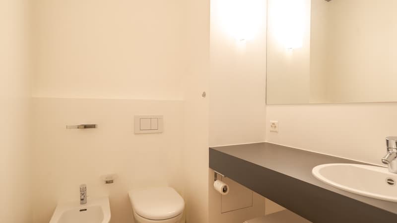 Ampio Loft arredato a Lugano, Molino Nuovo (12)