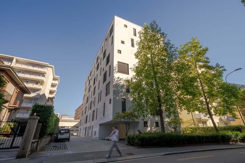 Ampio monolocale arredato a Lugano/Molino Nuovo (12)