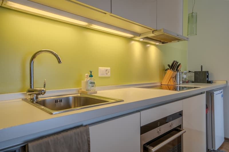 Ampio monolocale arredato a Lugano/Molino Nuovo (8)