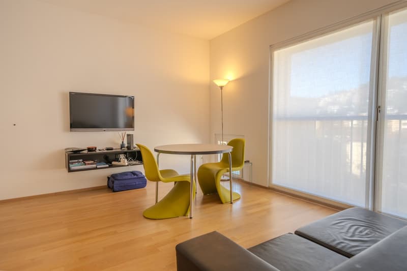 Ampio monolocale arredato a Lugano/Molino Nuovo (3)