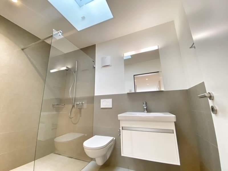 modern bathroom with glass shower, white sink, white toilet, mirror, skylight