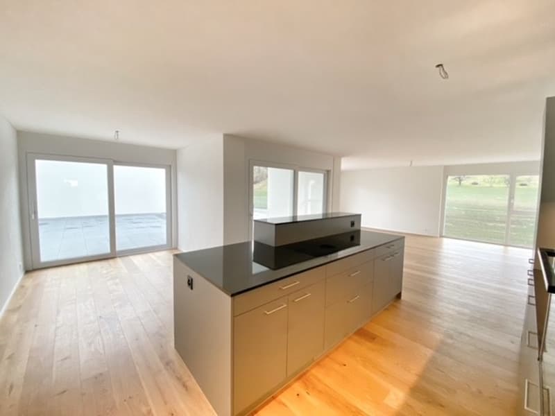 modern kitchen with island, wooden floor, large windows, sliding doors