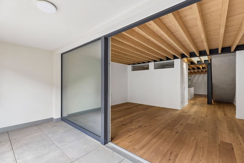 Haus im Loft-Stil in der Nähe des Hallwilersees (4)