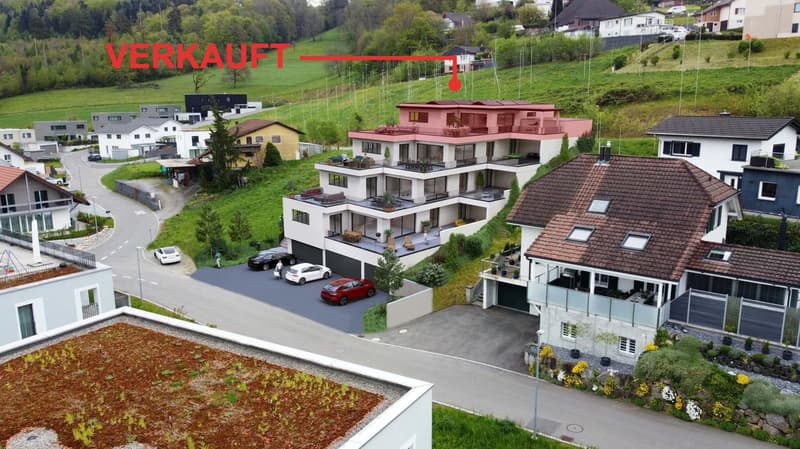 Appartamenti di terrazza raffinati 4,5 locali (1)
