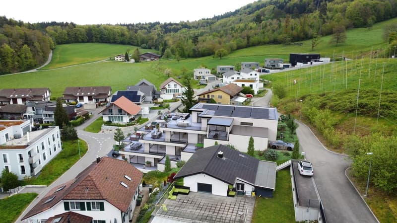 Appartamenti di terrazza raffinati 4,5 locali (2)