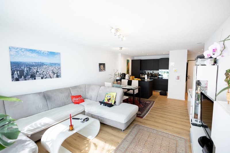 Newly valued 3.5 room apartment in a quiet location (3)