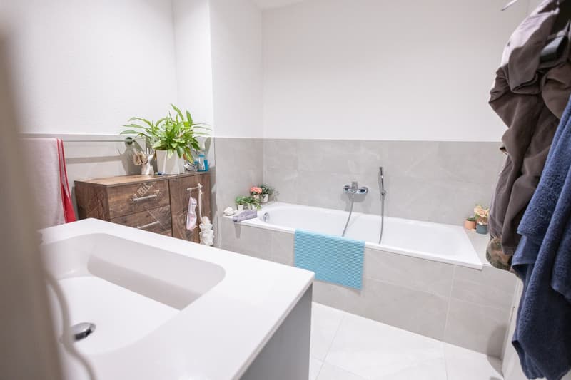 Newly valued 3.5 room apartment in a quiet location (10)