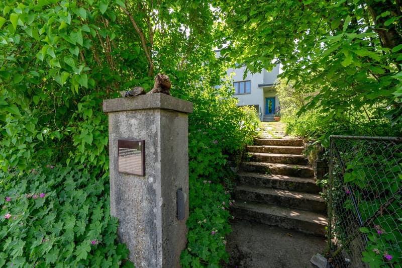 Ikonisches Einfamilienhaus an exklusiver Lage in Aarau (3)