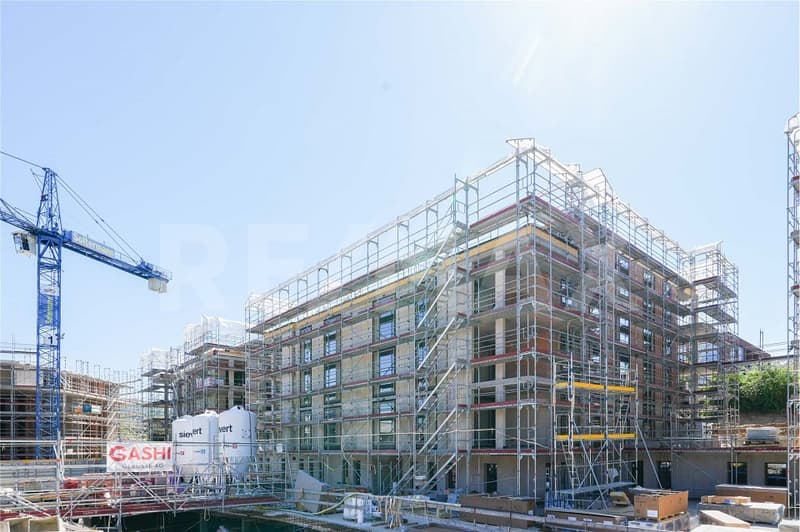Prima locazione BLAIE Frick - Vita urbana e spaziosa vicino alla stazione (9)