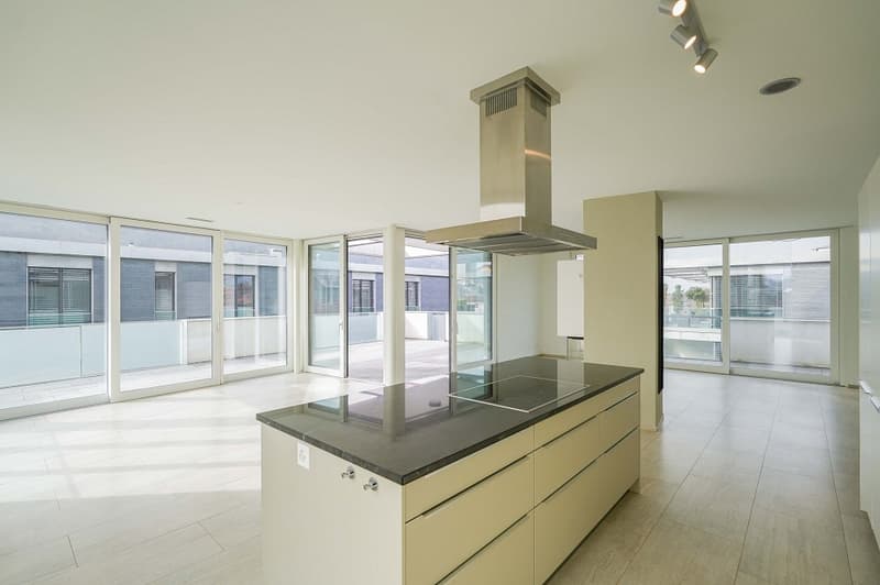 Godimento di vivere di classe eccezionale! Appartamento attico elegante di 4,5 locali in posizione centrale (4)