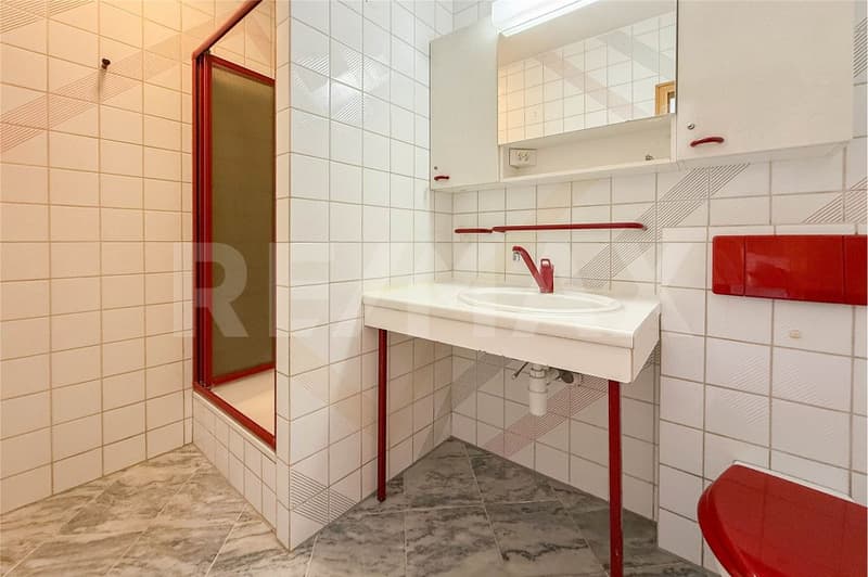 Spacious city house with plenty of space (12)