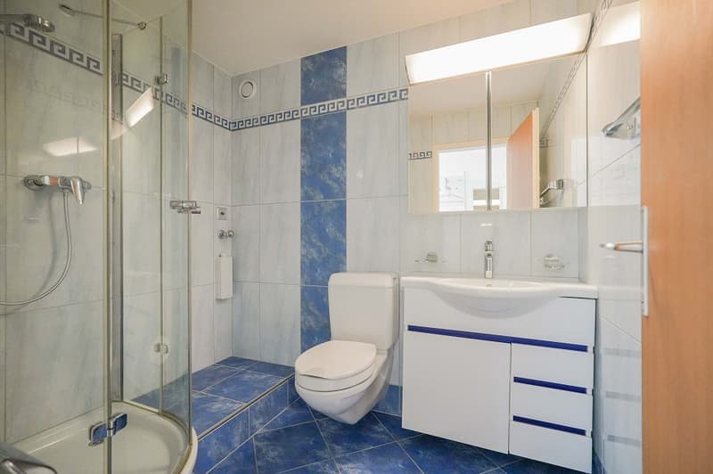 Hell, friendly and ideally central: 3.5 room apartment near shopping and recreation (5)