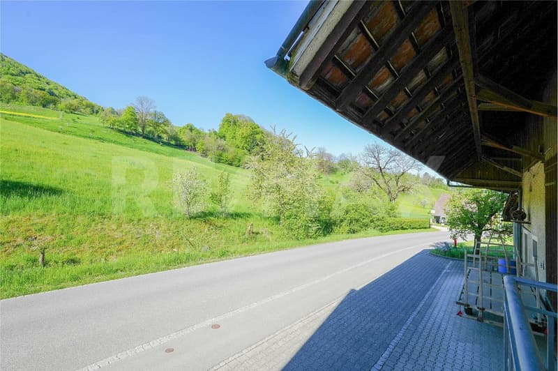 Spacious, habitable farmhouse with separate building land reserve (11)