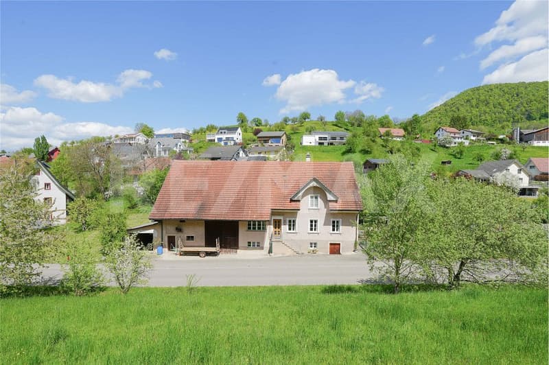 Ehemaliges Bauernhaus mit viel Land und Potential (2)
