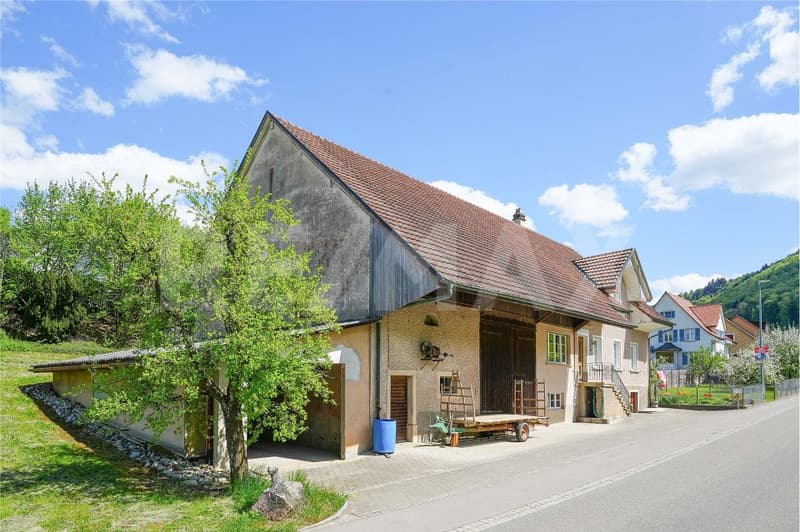 Spacious, habitable farmhouse with separate building land reserve (10)