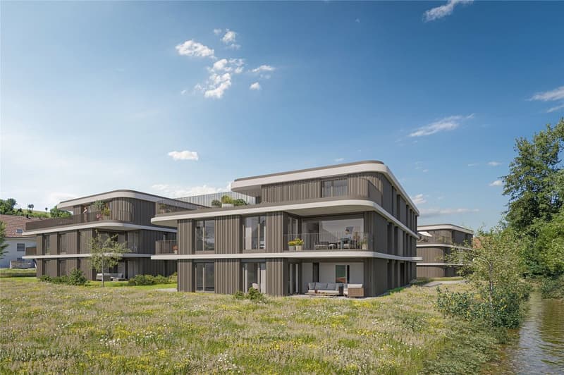 Modern living in a green environment (1)