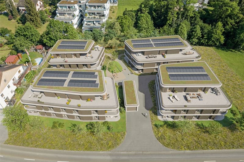 Abitare moderno in un ambiente verde - appartamenti in attico (3)