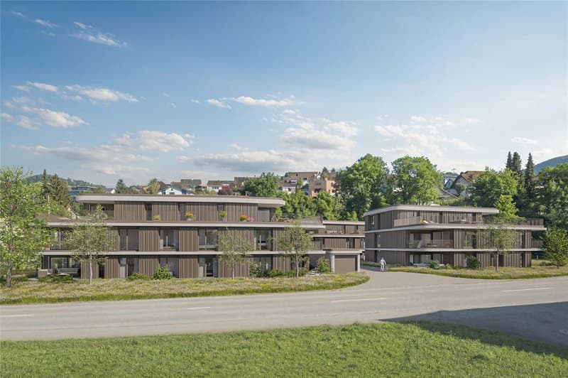 Abitare moderno in un ambiente verde - appartamenti in attico (8)