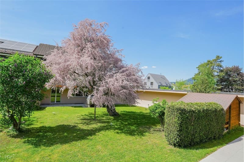 Charming living in a park-like environment: 4.5 room corner row house (expandable) (10)