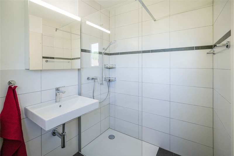 Charming living in a park-like environment: 4.5 room corner row house (expandable) (9)