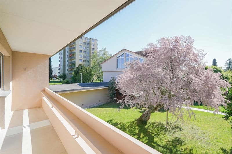 Charming living in a park-like environment: 4.5 room corner row house (expandable) (5)