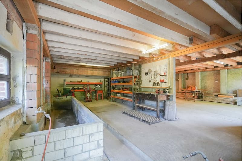 No more space problems! Cozy residential house with huge utility area (13)