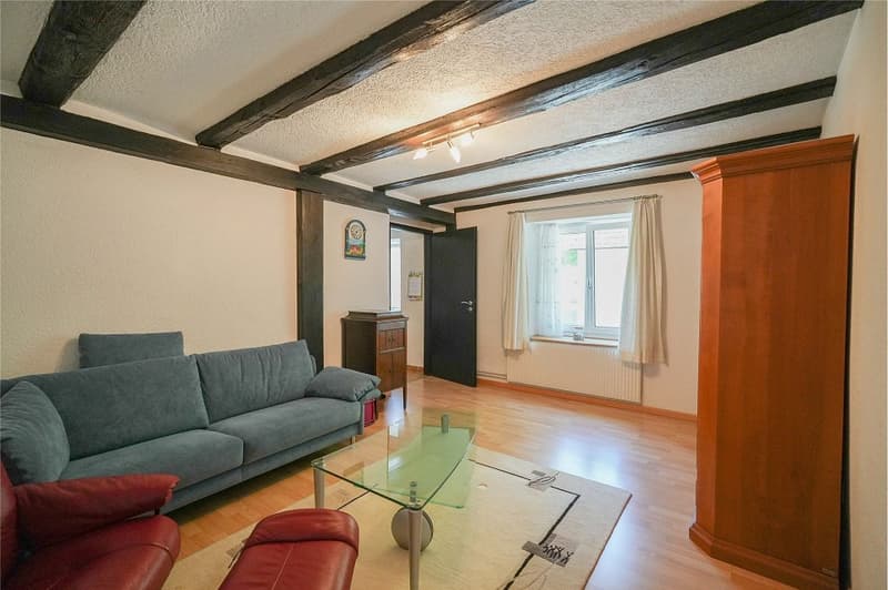 No more space problems! Cozy residential house with huge utility area (5)
