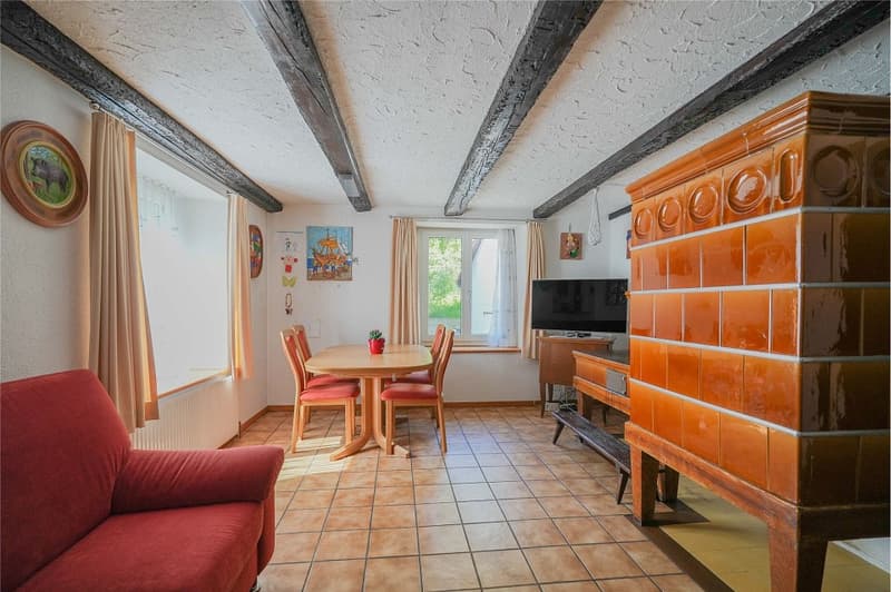 No more space problems! Cozy residential house with huge utility area (11)