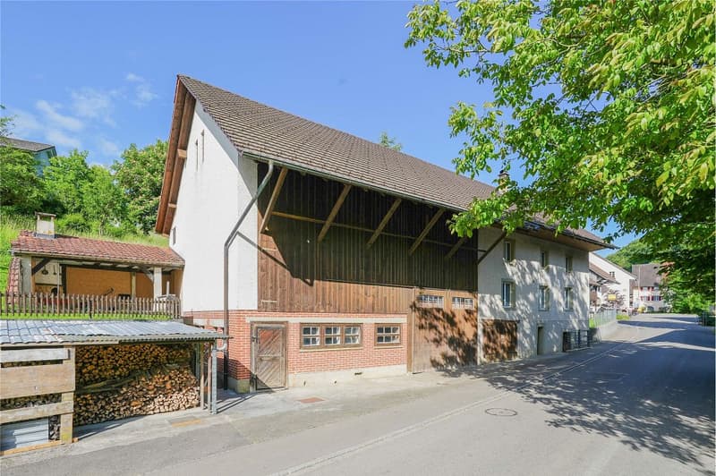 No more space problems! Cozy residential house with huge utility area (2)