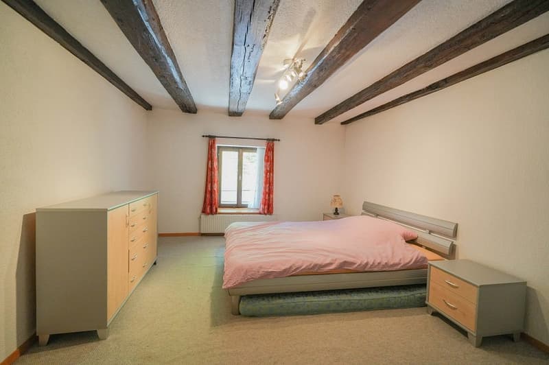 No more space problems! Cozy residential house with huge utility area (10)